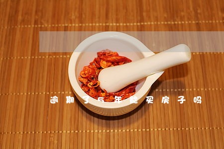 逾期了5年能买房子吗 逾期了5年能买房子吗