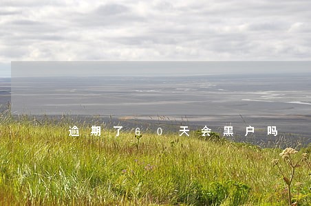 逾期了60天会黑户吗