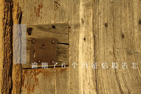 逾期了6个月征信报告怎么显示 逾期了6个月征信报告怎么显示