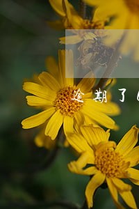 逾期了6个月罚息