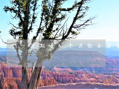 逾期了6个月能办房贷吗 逾期了6个月能办房贷吗