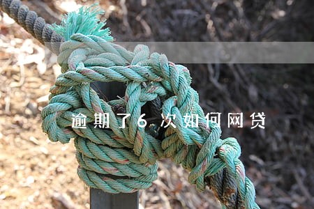 逾期了6次如何网贷
