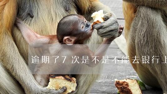 逾期了7次是不是不能去银行上班 逾期了7次是不是不能去银行上班
