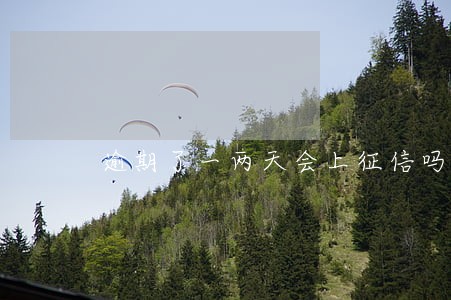 逾期了一两天会上征信吗