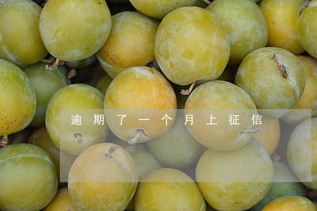 逾期了一个月上征信 逾期了一个月上征信