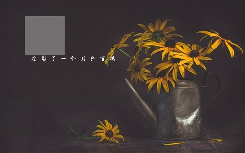 逾期了一个月严重吗 逾期了一个月严重吗