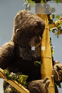 逾期了一个月会上征信嘛 逾期了一个月会上征信嘛