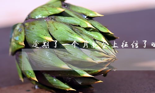 逾期了一个月就会上征信了吗 逾期了一个月就会上征信了吗