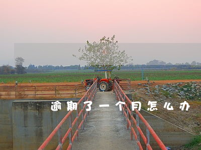 逾期了一个月怎么办 逾期了一个月怎么办