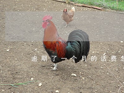 逾期了一个月的话费怎么算