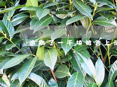 逾期了一千块被告上法庭