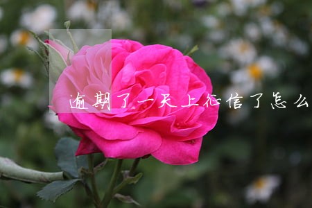 逾期了一天上征信了怎么消除 逾期了一天上征信了怎么消除