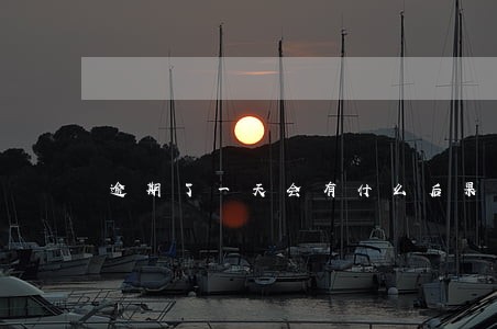 逾期了一天会有什么后果 逾期了一天会有什么后果