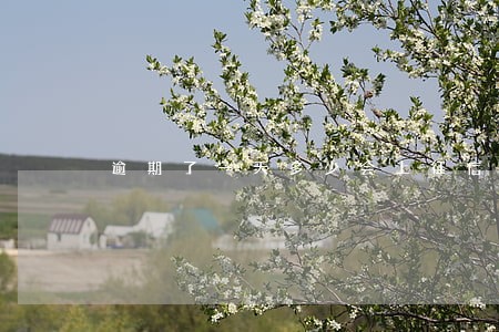 逾期了一天多少会上征信 逾期了一天多少会上征信