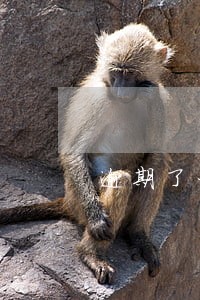 逾期了一天没事吧 逾期了一天没事吧
