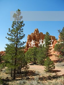 逾期了一天还款后果 逾期了一天还款后果