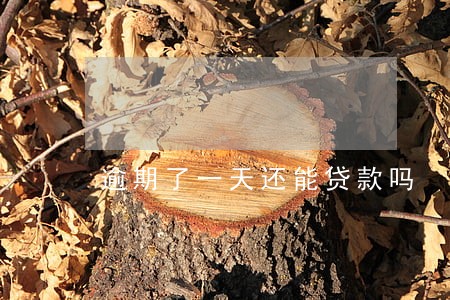 逾期了一天还能贷款吗 逾期了一天还能贷款吗