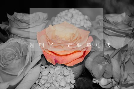 逾期了一定要接电话 逾期了一定要接电话