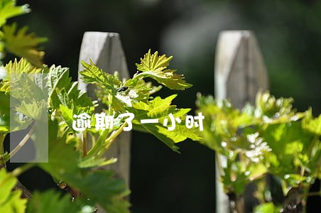 逾期了一小时 逾期了一小时