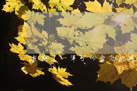 逾期了一年可以坐飞机吗 逾期了一年可以坐飞机吗