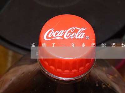 逾期了一年多还能还款吗 逾期了一年多还能还款吗