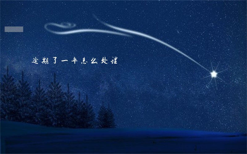 逾期了一年怎么处理 逾期了一年怎么处理