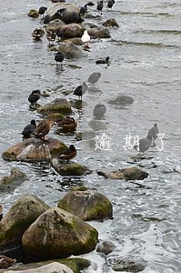 逾期了一年没有还会怎么样 逾期了一年没有还会怎么样