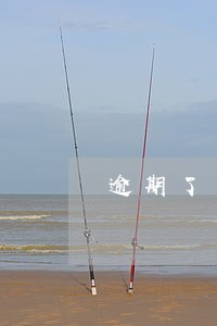 逾期了一年的信用卡 逾期了一年的信用卡