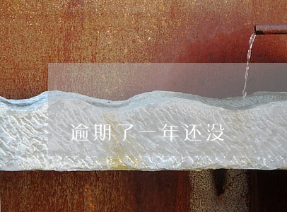 逾期了一年还没 逾期了一年还没