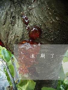 逾期了一年还能办理房贷吗 逾期了一年还能办理房贷吗