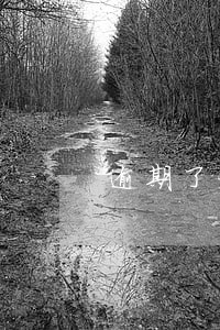 逾期了一次性本金还款