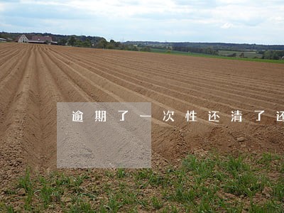 逾期了一次性还清了还可以借吗 逾期了一次性还清了还可以借吗