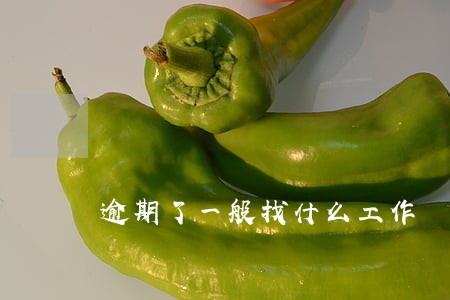逾期了一般找什么工作 逾期了一般找什么工作