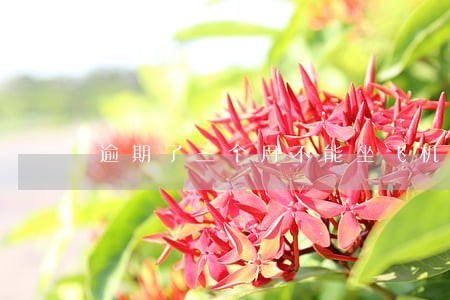 逾期了三个月不能坐飞机吗 逾期了三个月不能坐飞机吗