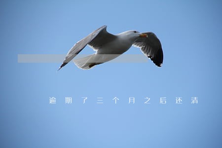 逾期了三个月之后还清 逾期了三个月之后还清