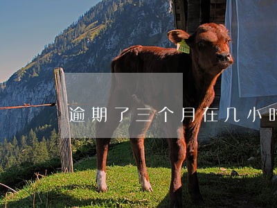 逾期了三个月在几小时内还款 逾期了三个月在几小时内还款