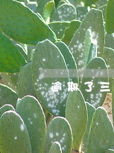 逾期了三千多会上门吗 逾期了三千多会上门吗