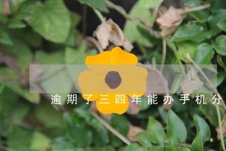 逾期了三四年能办手机分期吗 逾期了三四年能办手机分期吗