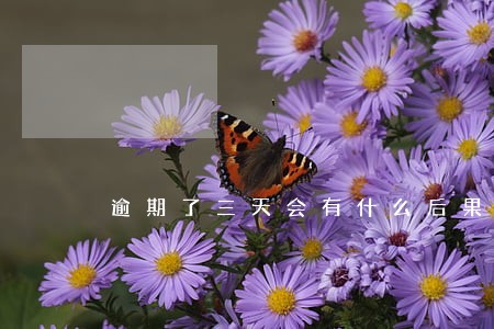 逾期了三天会有什么后果 逾期了三天会有什么后果