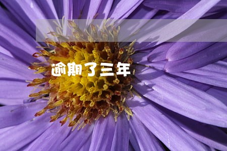 逾期了三年 逾期了三年