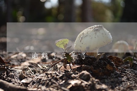 逾期了三年了 逾期了三年了