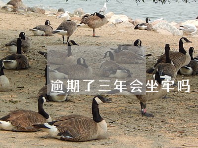逾期了三年会坐牢吗 逾期了三年会坐牢吗