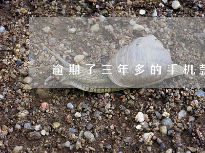 逾期了三年多的手机款 逾期了三年多的手机款