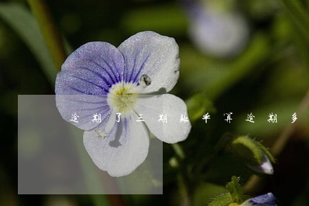 逾期了三期账单算逾期多久