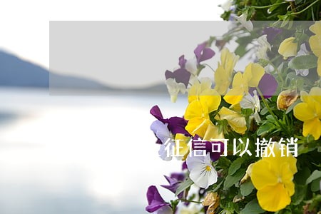 逾期了上征信可以撤销 逾期了上征信可以撤销