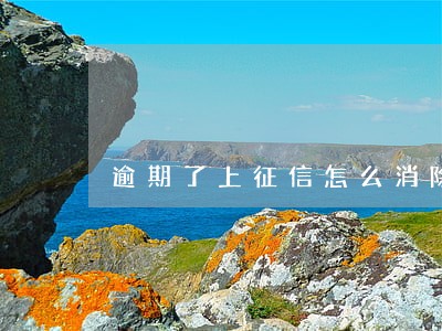 逾期了上征信怎么消除