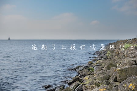 逾期了上报征信是银行上报吗 逾期了上报征信是银行上报吗