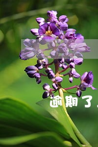 逾期了上报征信还了有什么影响吗 逾期了上报征信还了有什么影响吗