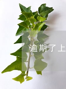 逾期了上汽公司 逾期了上汽公司