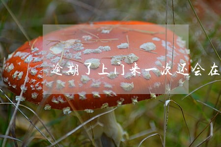 逾期了上门来一次还会在上门吗 逾期了上门来一次还会在上门吗